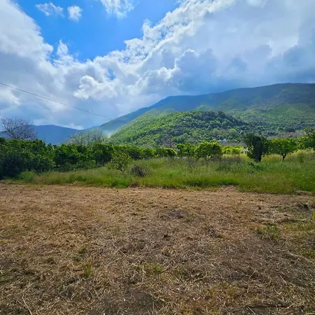 Attico Con Vista Sul Vesuvio アングリ