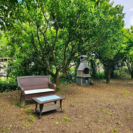Attico Con Vista Sul Vesuvio * アングリ
